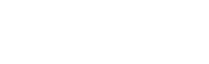 CLEAN ICON