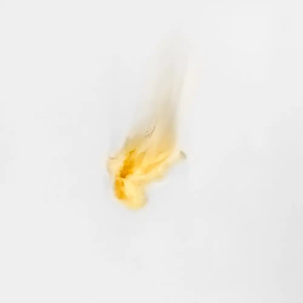 CERAMICSTEEL FLAME1
